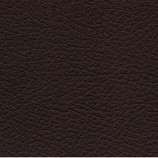 Brown leather mat