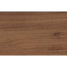 Walnut Succi - n37755