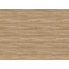 Maple - n37965
