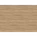 Maple - n37965